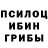 Псилоцибиновые грибы GOLDEN TEACHER SimsAnna