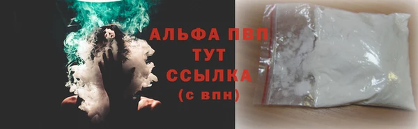 apvp Белокуриха