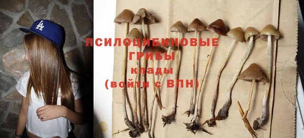 соль ск Белоозёрский
