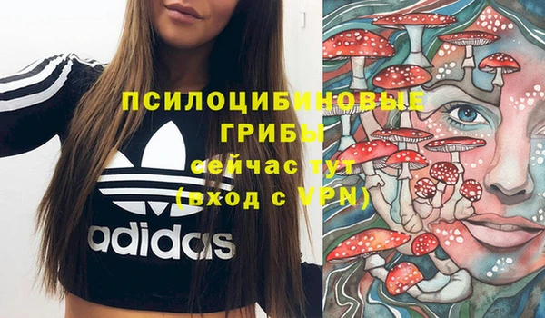 соль ск Белоозёрский