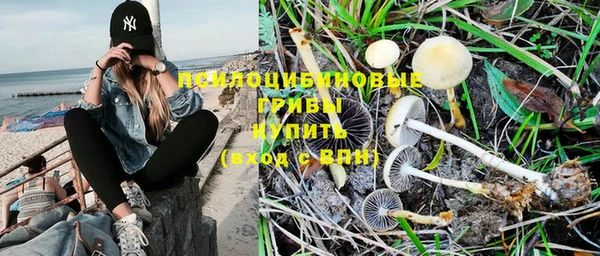 соль ск Белоозёрский