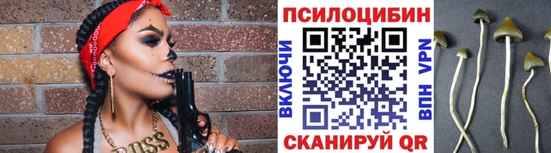 Галлюциногенные грибы мухоморы  где можно купить   Вельск 